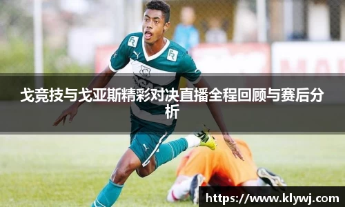 雷竞技RAYBET官网